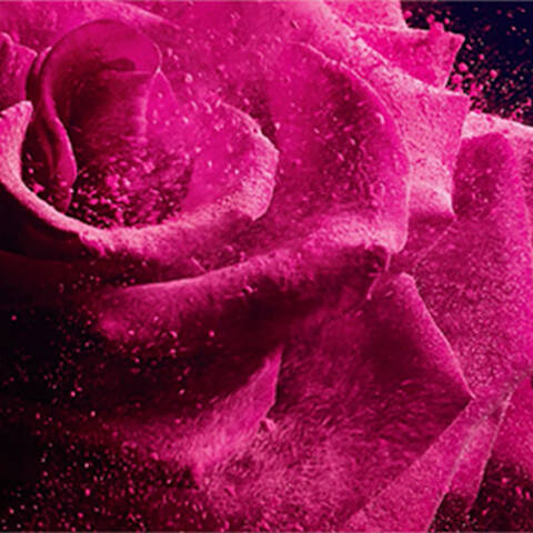 Lancome Careers